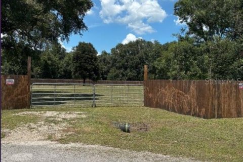 Land in Lakeland, Florida № 1848017 - photo 2