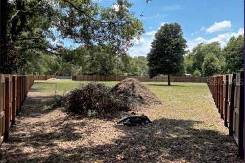 Land in Lakeland, Florida № 1848017 - photo 1