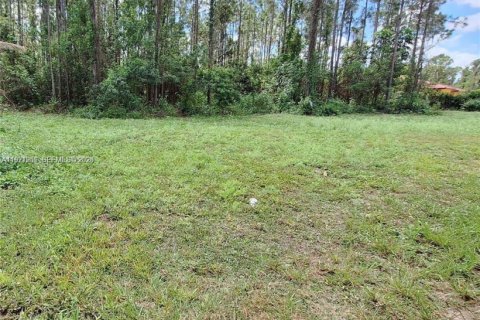 Terrain à Homestead, Floride № 2042265