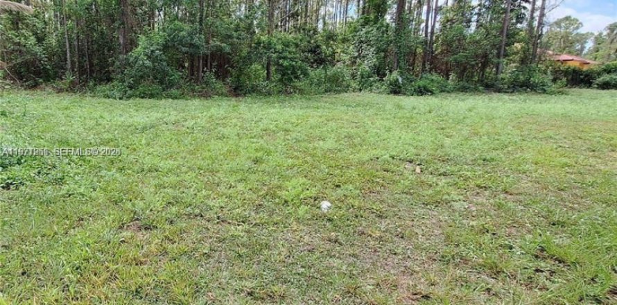 Terrain à Homestead, Floride № 2042265