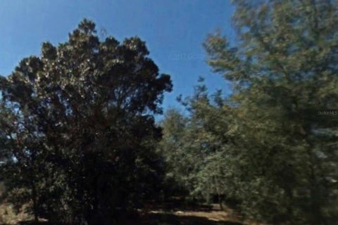Land in Inverness, Florida № 2161058