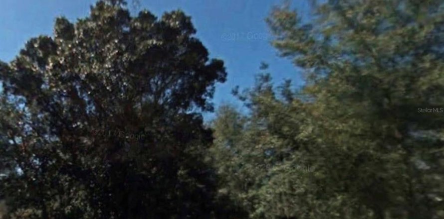 Land in Inverness, Florida № 2161058
