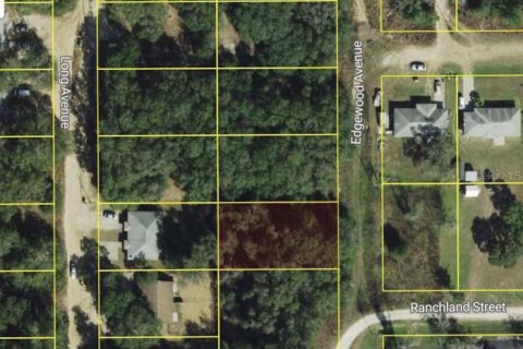 Land in Inverness, Florida № 2161058 - photo 2