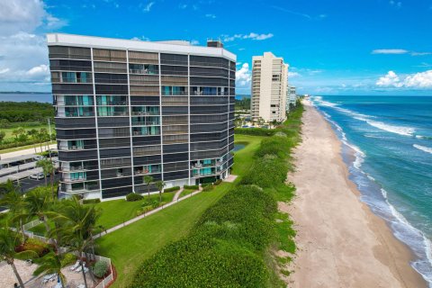 Condo à Jensen Beach, Floride, 1 chambre  № 2195034
