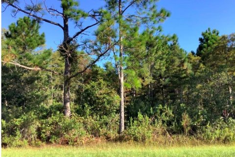 Terreno en venta en Orlando, Florida № 1834653 - foto 1