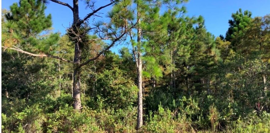 Terreno en Orlando, Florida № 1834653