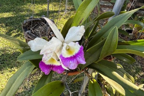 Villa ou maison à vendre à Miami Gardens, Floride: 4 chambres, 102.56 m2 № 1996681 - photo 15