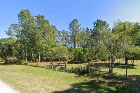 Land in Wesley Chapel, Florida № 1902165 - photo 2