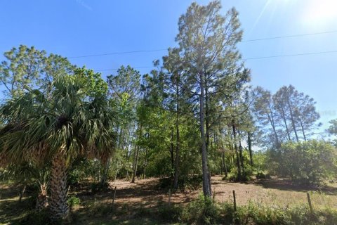 Land in Wesley Chapel, Florida № 1902165 - photo 9