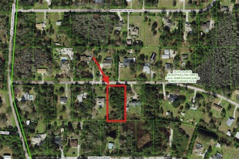 Land in Wesley Chapel, Florida № 1902165 - photo 6