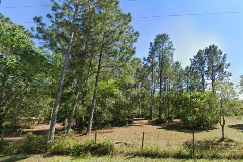 Land in Wesley Chapel, Florida № 1902165 - photo 1