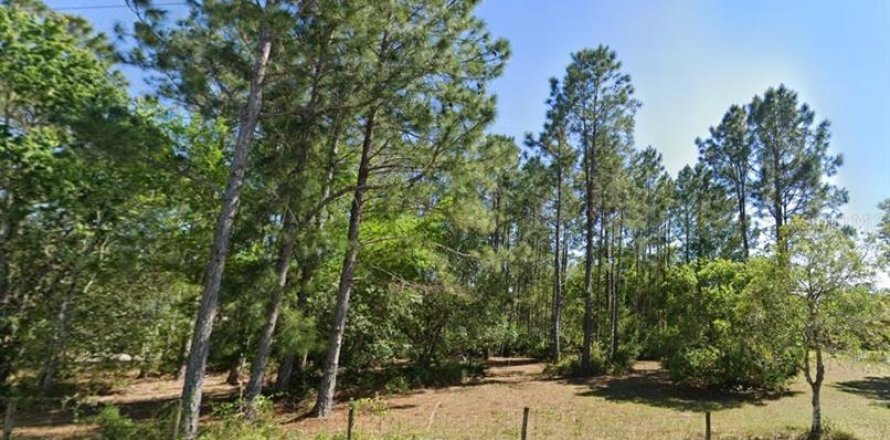 Land in Wesley Chapel, Florida № 1902165