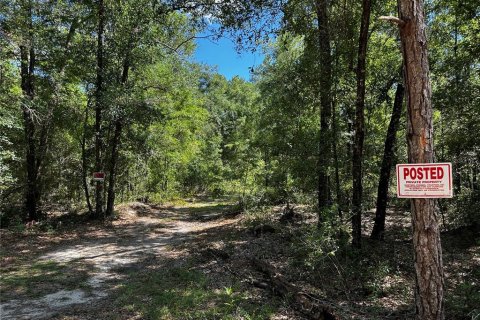 Land in Bronson, Florida № 2237726 - photo 2