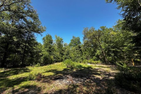 Land in Bronson, Florida № 2237726 - photo 8
