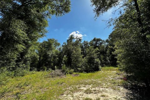 Land in Bronson, Florida № 2237726 - photo 14