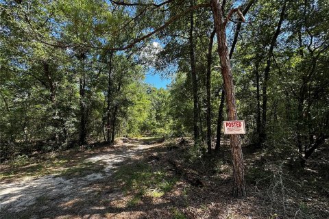 Land in Bronson, Florida № 2237726 - photo 21