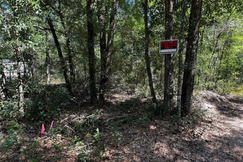 Land in Bronson, Florida № 2237726 - photo 11