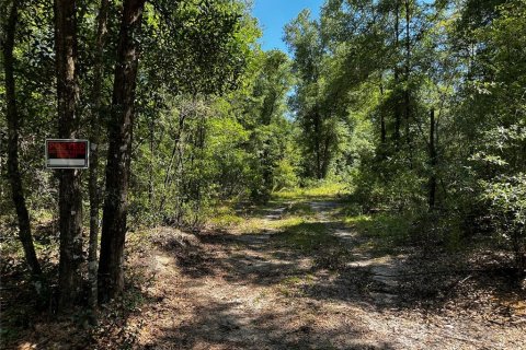 Land in Bronson, Florida № 2237726 - photo 12