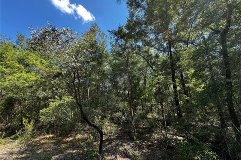 Land in Bronson, Florida № 2237726 - photo 16