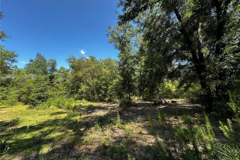 Land in Bronson, Florida № 2237726 - photo 9