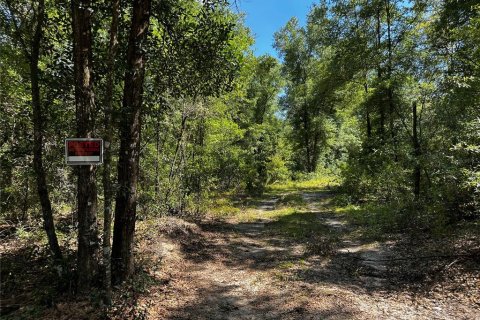 Land in Bronson, Florida № 2237726 - photo 3