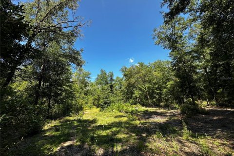 Land in Bronson, Florida № 2237726 - photo 7
