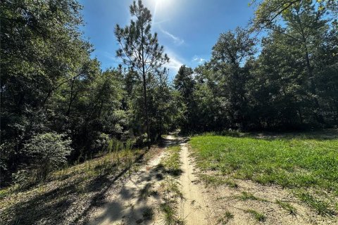 Land in Bronson, Florida № 2237726 - photo 22