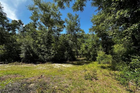 Land in Bronson, Florida № 2237726 - photo 4
