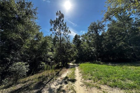 Land in Bronson, Florida № 2237726 - photo 23