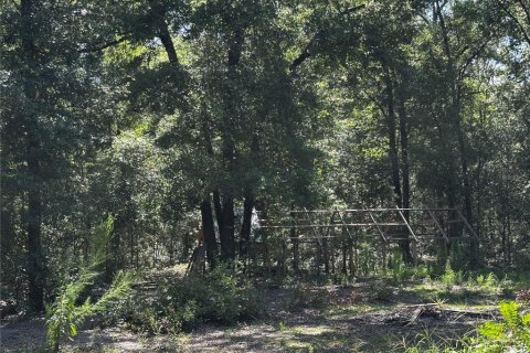 Land in Bronson, Florida № 2237726 - photo 19
