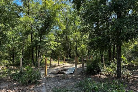 Land in Bronson, Florida № 2237726 - photo 5