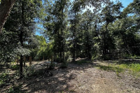 Land in Bronson, Florida № 2237726 - photo 10