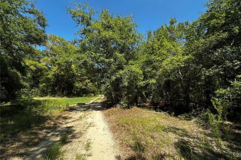 Land in Bronson, Florida № 2237726 - photo 6