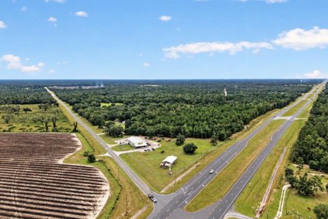 Propiedad comercial en venta en Bronson, Florida, 305.65 m2 № 2410552 - foto 2