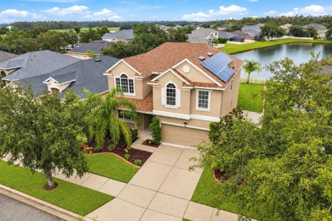 House in Tampa, Florida 4 bedrooms, 252.04 sq.m. № 2408473 - photo 2