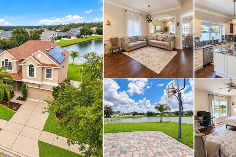 House in Tampa, Florida 4 bedrooms, 252.04 sq.m. № 2408473