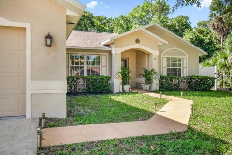 House in Palm Coast, Florida 4 bedrooms, 180.42 sq.m. № 2223264