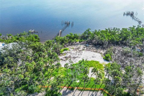 Land in Englewood, Florida № 1918385 - photo 2