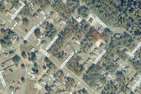 Land in Ocklawaha, Florida № 2387328