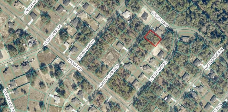 Land in Ocklawaha, Florida № 2387328