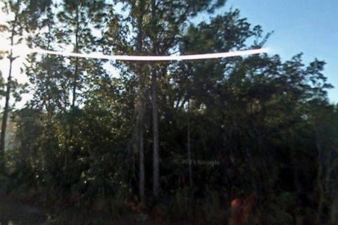 Land in Punta Gorda, Florida № 2238808 - photo 3