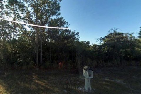 Land in Punta Gorda, Florida № 2238808 - photo 6
