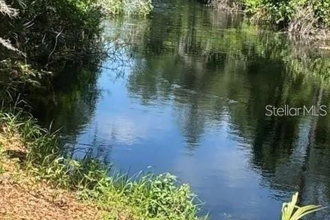 Land in Tavares, Florida № 2117828 - photo 4