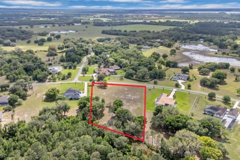 Land in Tavares, Florida № 2117828 - photo 14