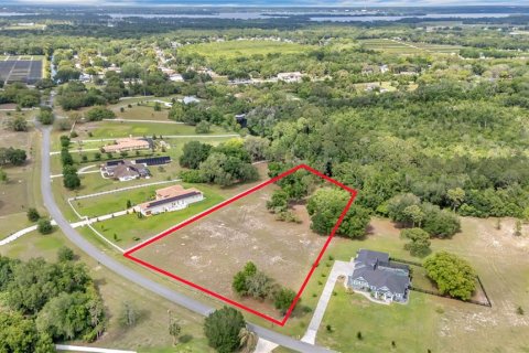 Land in Tavares, Florida № 2117828 - photo 17