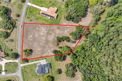 Land in Tavares, Florida № 2117828 - photo 2