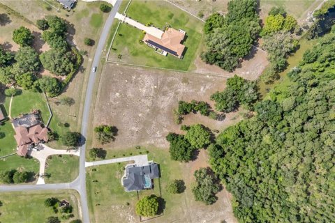 Land in Tavares, Florida № 2117828 - photo 5