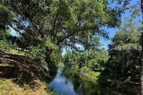 Land in Tavares, Florida № 2117828 - photo 3
