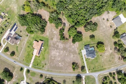 Land in Tavares, Florida № 2117828 - photo 6
