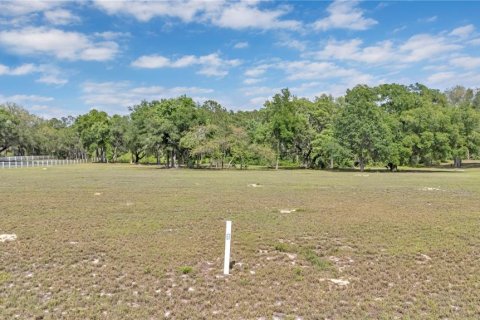Land in Tavares, Florida № 2117828 - photo 7